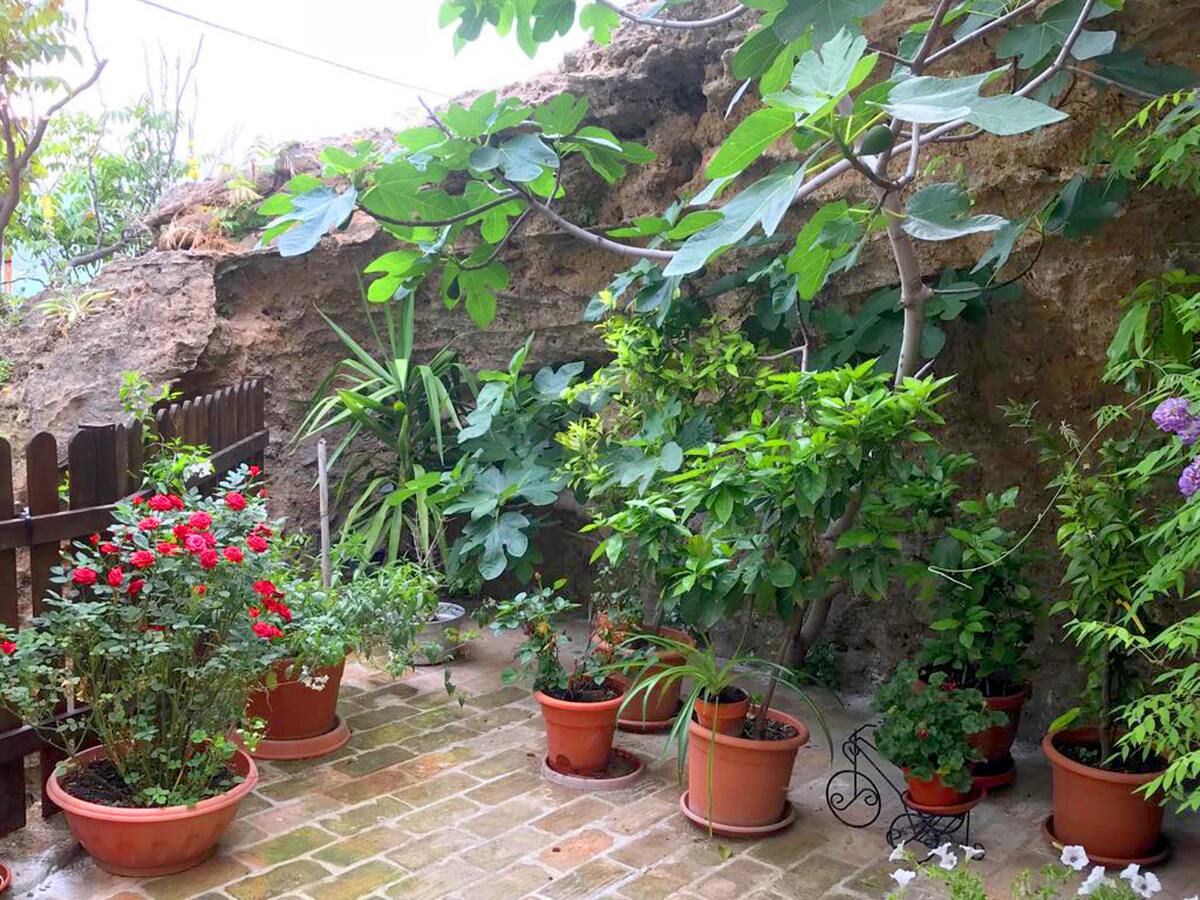 Appartement 60 m² Montenero, vue montagne et jardin - Photo 19