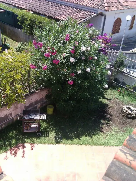 Appartement avec vue mer et jardin privé à Fontane Bianche, Siracusa : photo 11