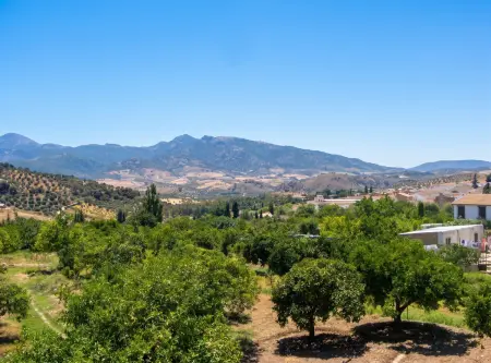 Maison avec piscine partagée et vue montagne à Algodonales : photo 10