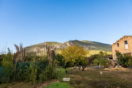 Maison avec piscine partagée et vue montagne à Algodonales : photo 11