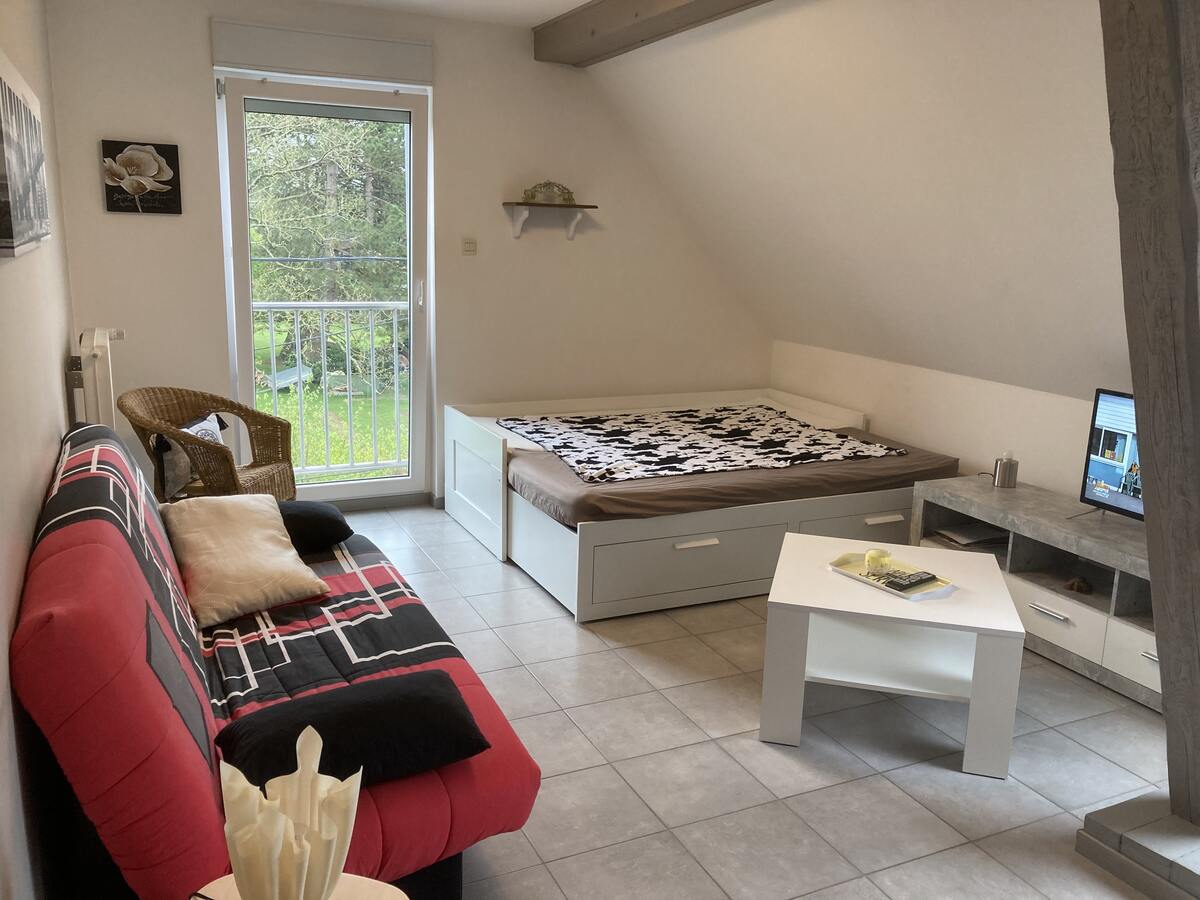 Appartement 120 m² terrasse, jardin et piscine à Lohr - Photo 8