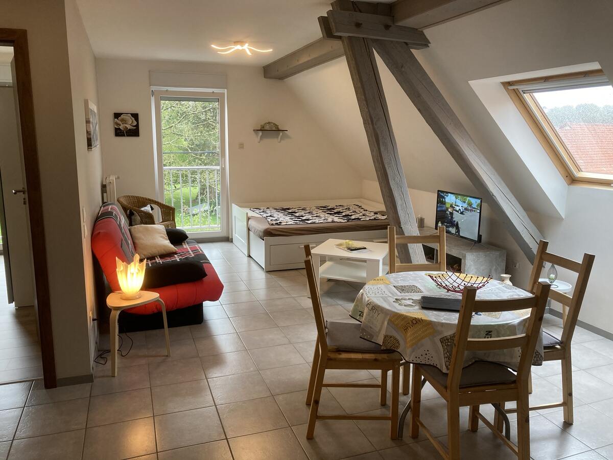 Appartement 120 m² terrasse, jardin et piscine à Lohr - Photo 27