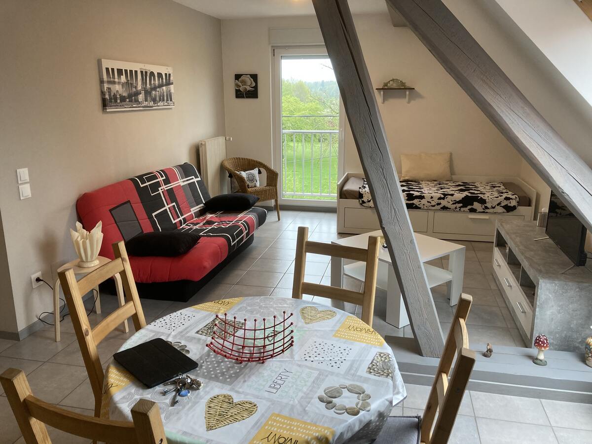 Appartement 120 m² terrasse, jardin et piscine à Lohr - Photo 28