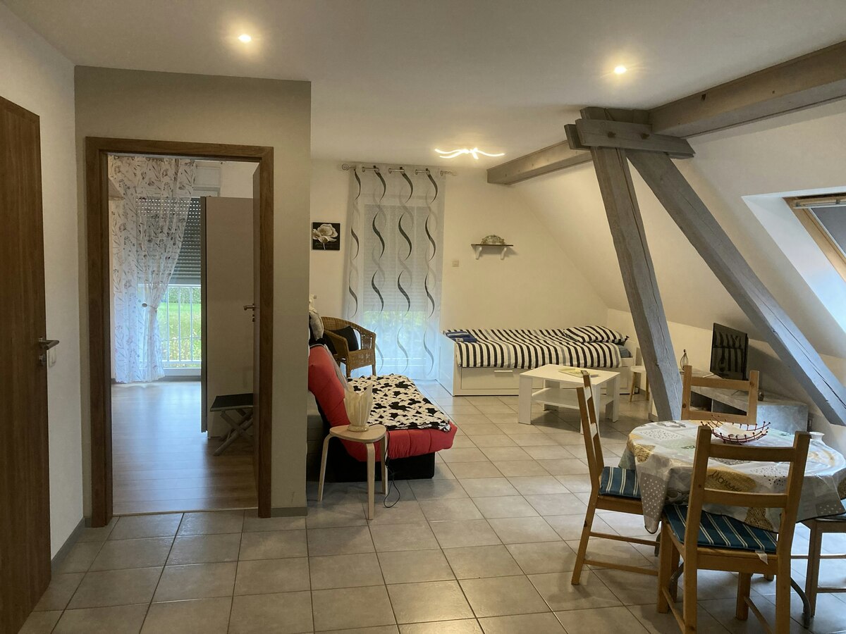 Appartement 120 m² terrasse, jardin et piscine à Lohr - Photo 29