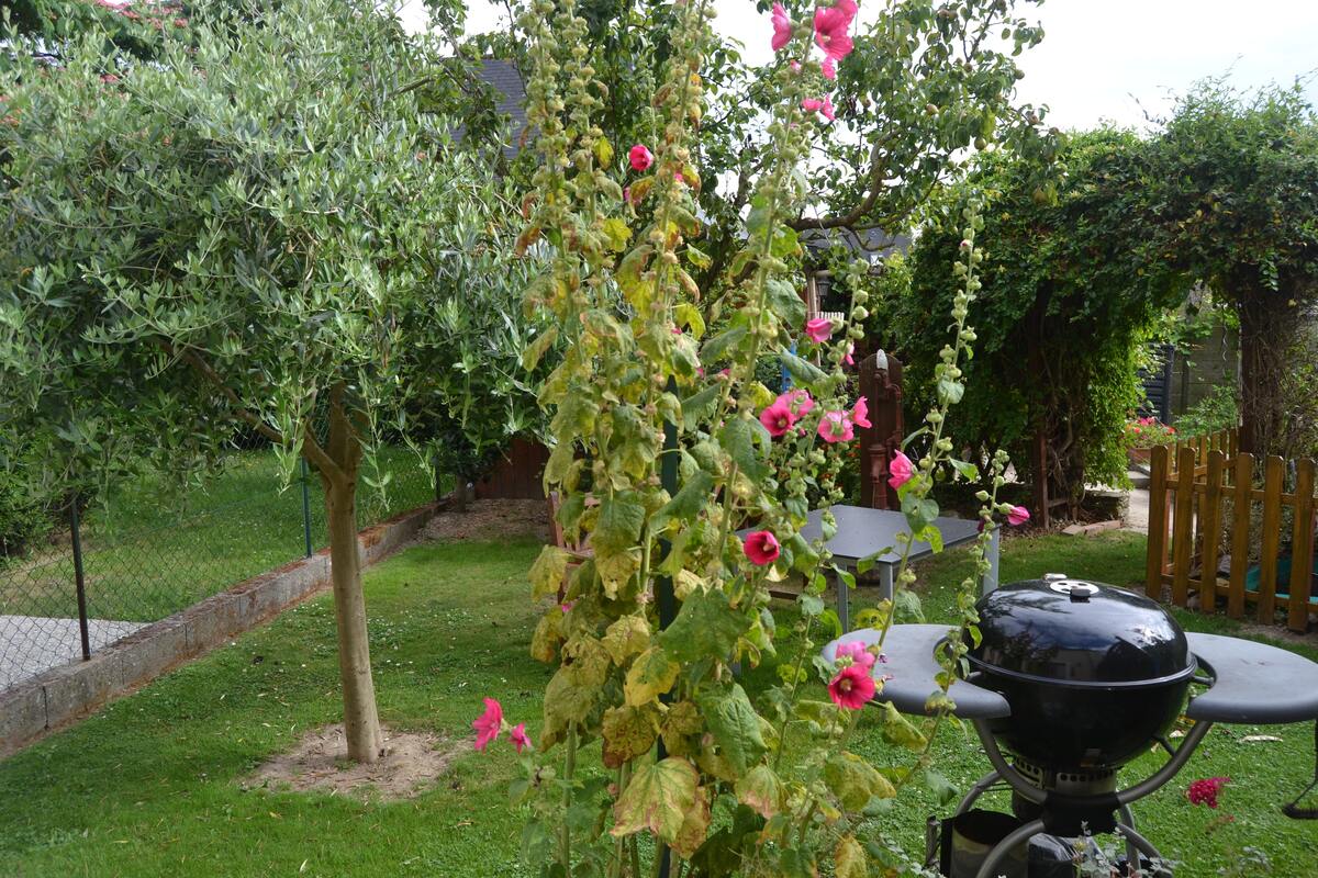 Maison 5 pers. à Saint-Jouan-des-Guérets, jardin & terrasse - Photo 18