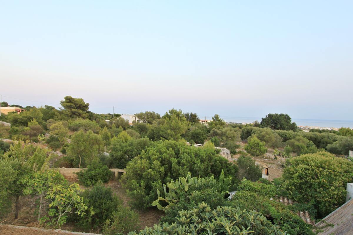 Maison 4 chambres avec jardin et vue mer à Torre Pali - Photo 38