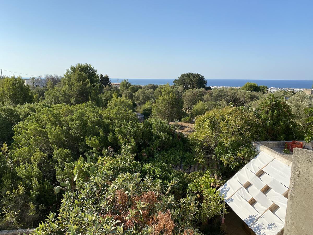 Maison 4 chambres avec jardin et vue mer à Torre Pali - Photo 50