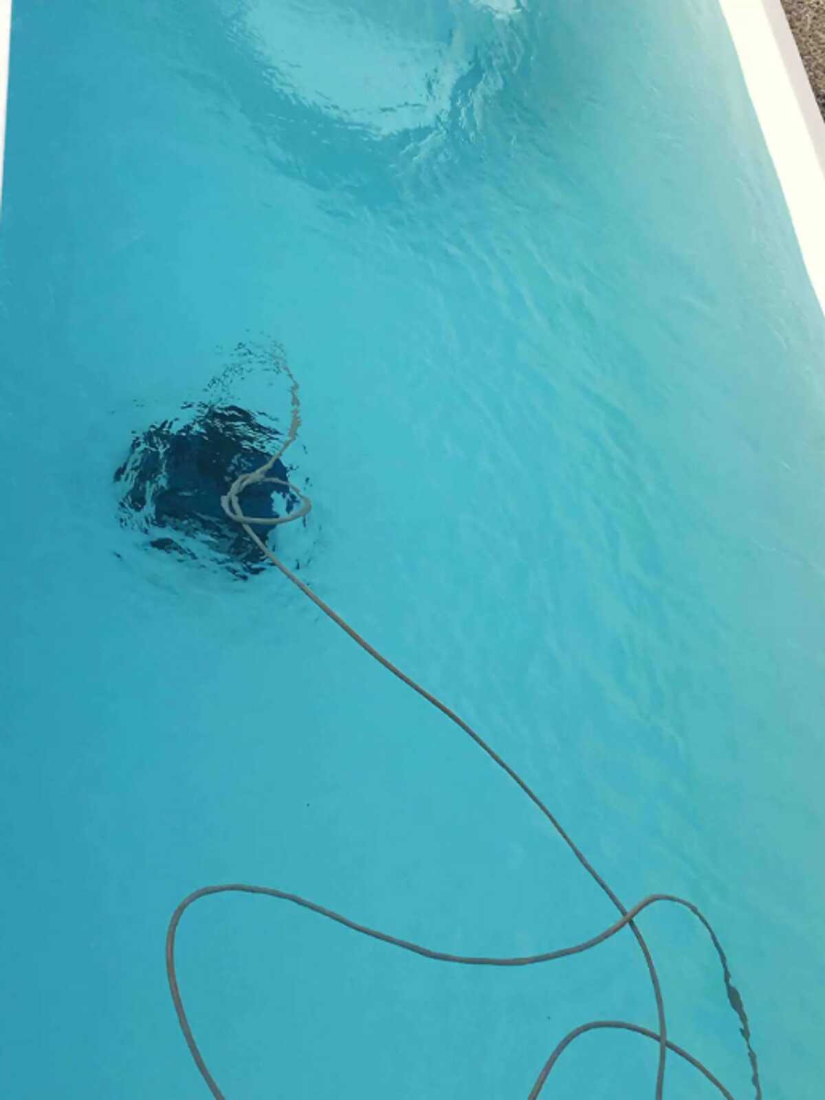 Villa 4 chambres avec piscine privée à Saint-Gilles - Photo 15