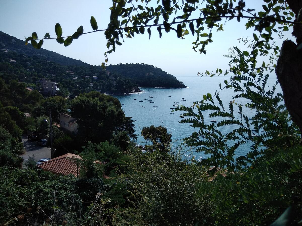 Appartement 34 m² avec terrasse et vélos à Cavalaire - Photo 10