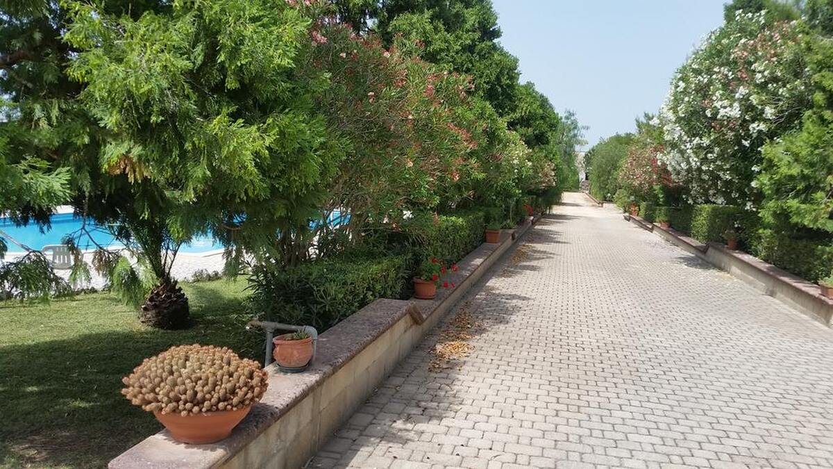Maison 420 m² pour 16 pers. à Muro Leccese avec piscine - Photo 3