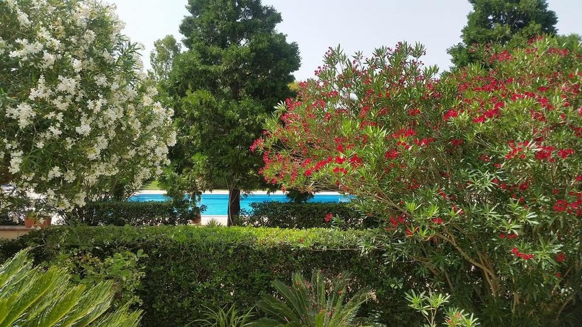 Maison 420 m² pour 16 pers. à Muro Leccese avec piscine - Photo 19
