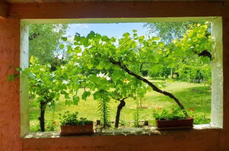 Villa avec piscine privée et jardin clos à Fayence : photo 7