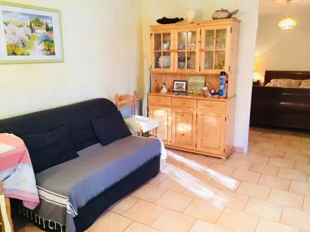 Villa avec piscine privée et jardin clos à Fayence : photo 11