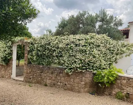 Villa charmante à Villecroze avec piscine privée - Photo 37