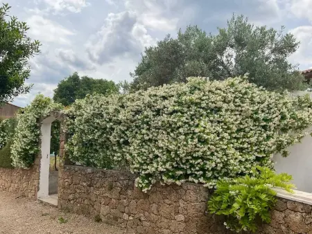 Villa charmante à Villecroze avec piscine privée - Photo 38