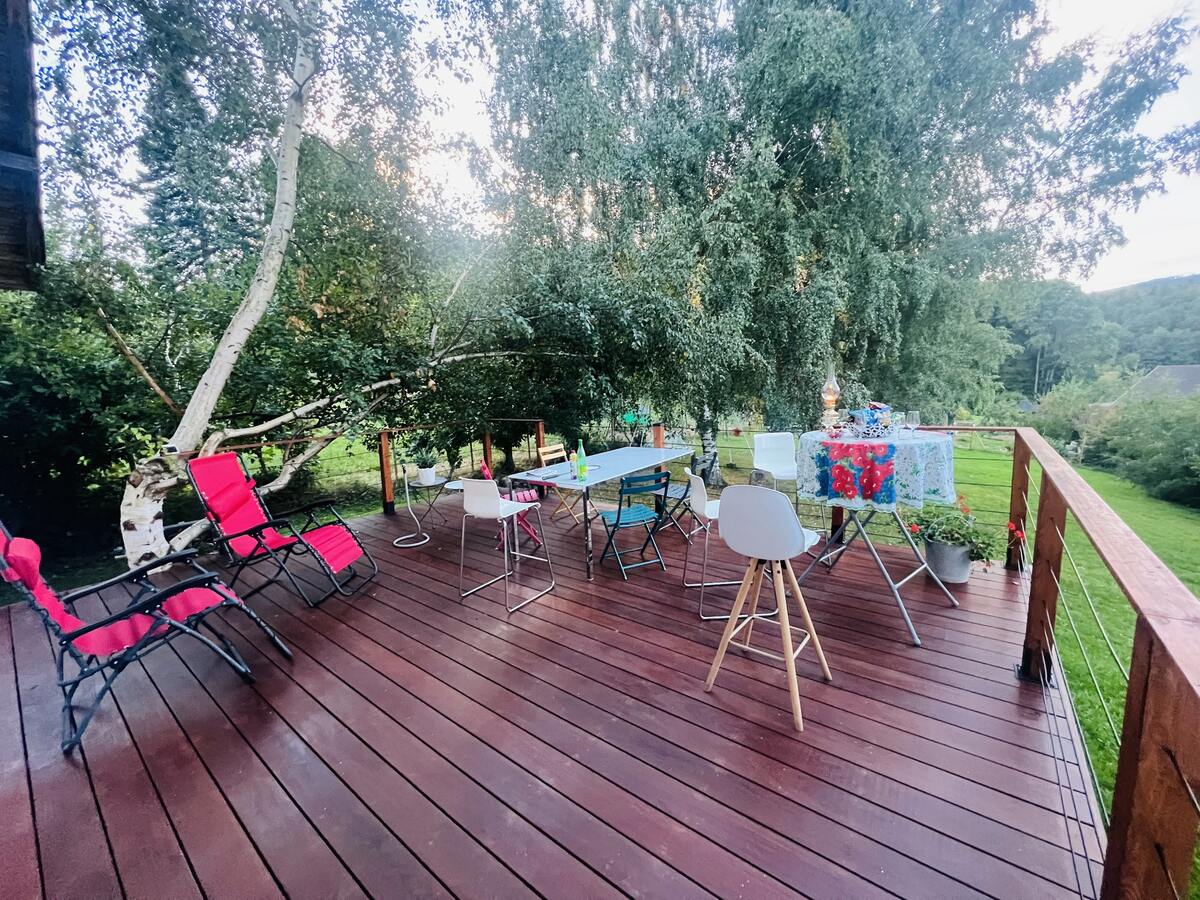 Chalet 15 pers. vue 360° Vosges du Nord - Photo 24