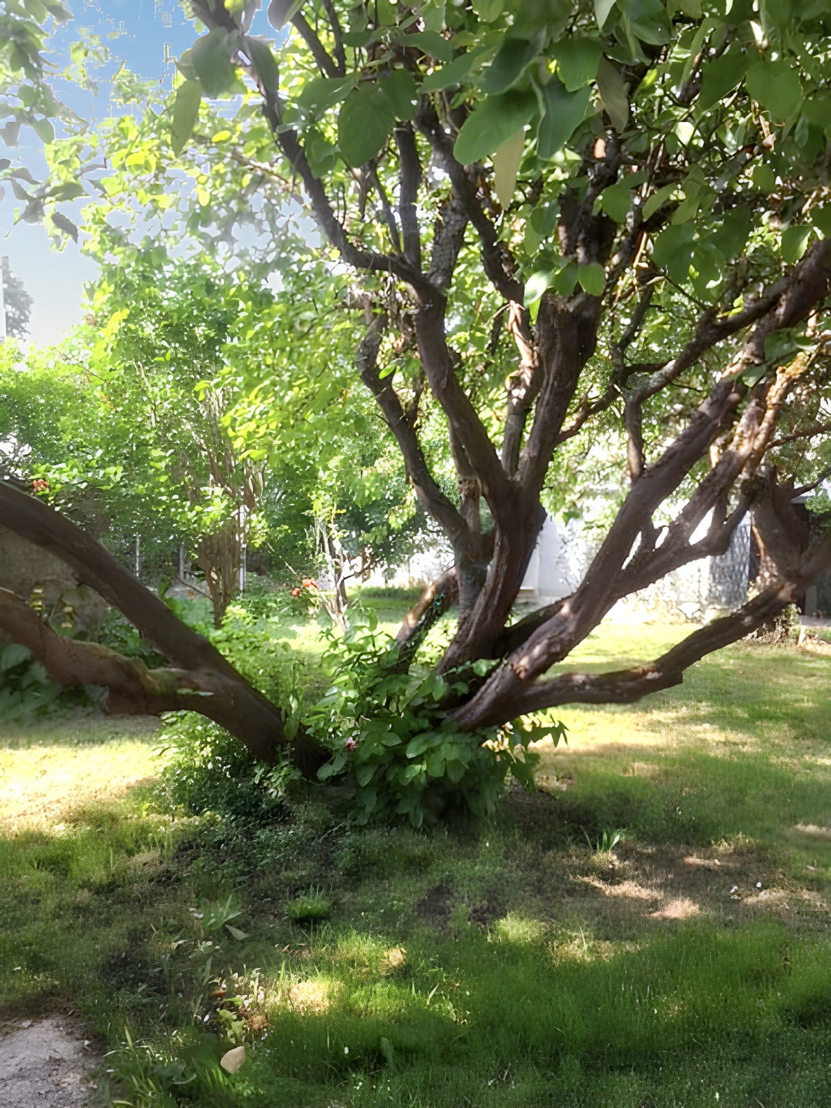 Maison 5 pers. avec jardin clôturé à Montlognon - Photo 11