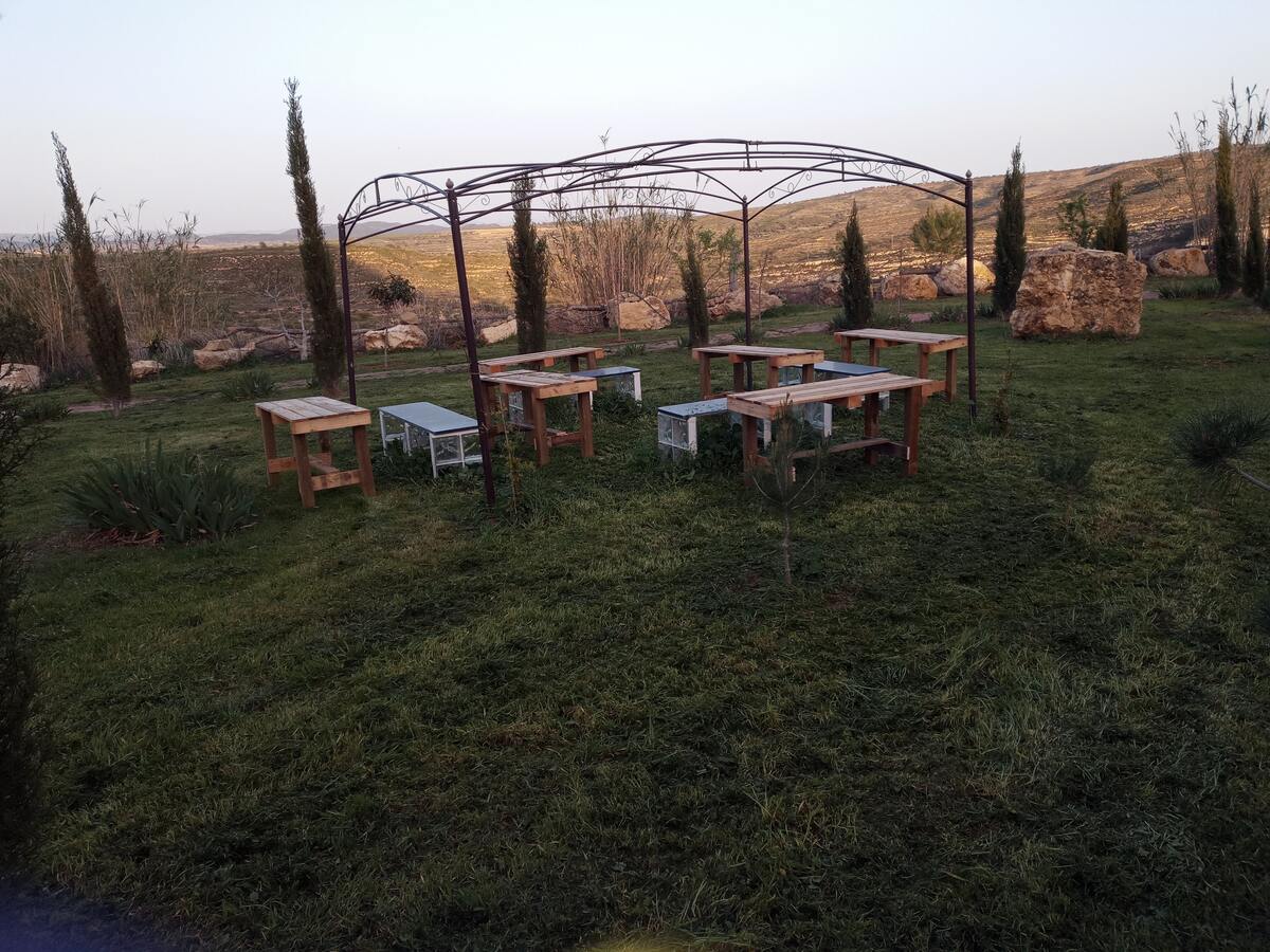 Villa 12 pers., 5 chambres, piscine privée à Chulilla - Photo 48