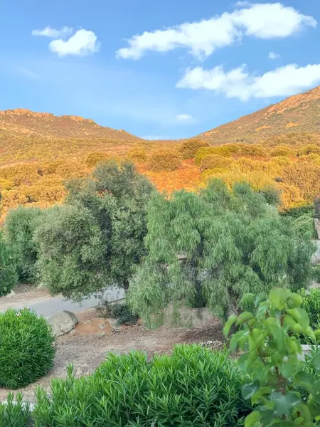 Maison Vue Mer à Lumio avec Terrasse et Jardin Clos - Photo 28