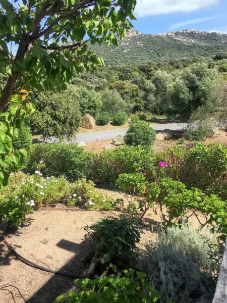 Maison Vue Mer à Lumio avec Terrasse et Jardin Clos - Photo 38