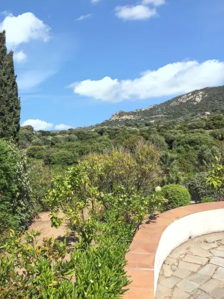 Maison Vue Mer à Lumio avec Terrasse et Jardin Clos - Photo 49