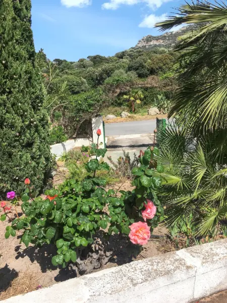 Maison Vue Mer à Lumio avec Terrasse et Jardin Clos - Photo 51
