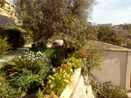Maison avec jardin clos et terrasse privée à Toulon : photo 6