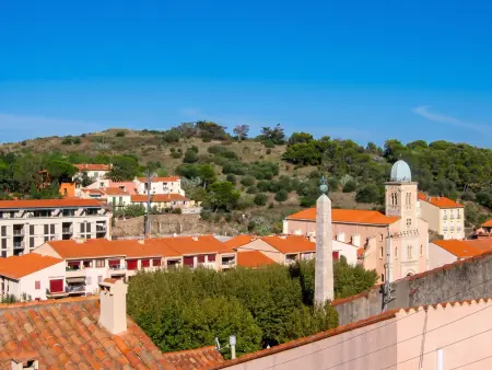 Duplex vue mer et montagne avec balcon à Port-Vendres : photo 24