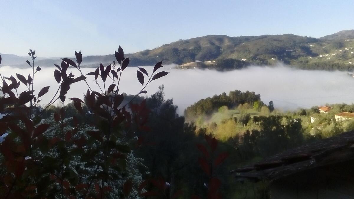 Maison de charme à Celorico de Basto avec vue sur la montagne - Photo 20