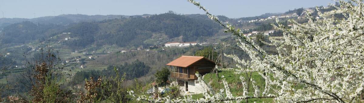 Maison de charme à Celorico de Basto avec vue sur la montagne - Photo 21