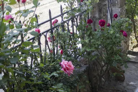Maison familiale 6 chambres avec jardin clôturé à Abejar : photo 32