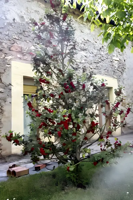 Maison familiale 6 chambres avec jardin clôturé à Abejar : photo 37