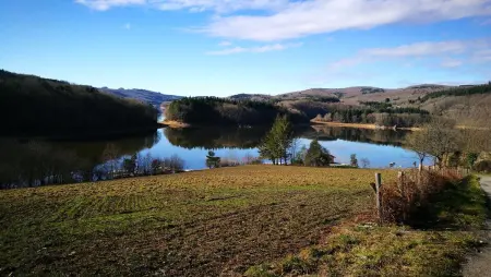 Appartement charmant à La Salvetat-sur-Aout 50 m² avec jardin - Photo 4
