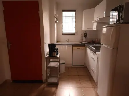 Appartement charmant à La Salvetat-sur-Aout 50 m² avec jardin - Photo 17