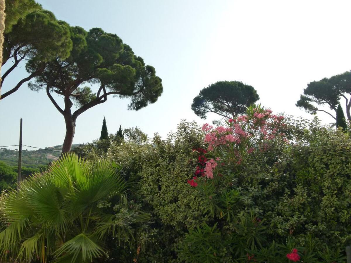 Maison 8 pers. avec terrasse, vue montagne à Sainte-Maxime - Photo 16