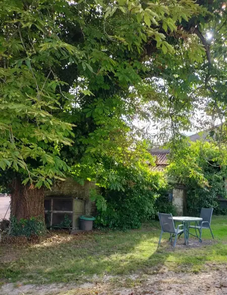 Maison charmante à Antezant-la-Chapelle avec jardin - Photo 4