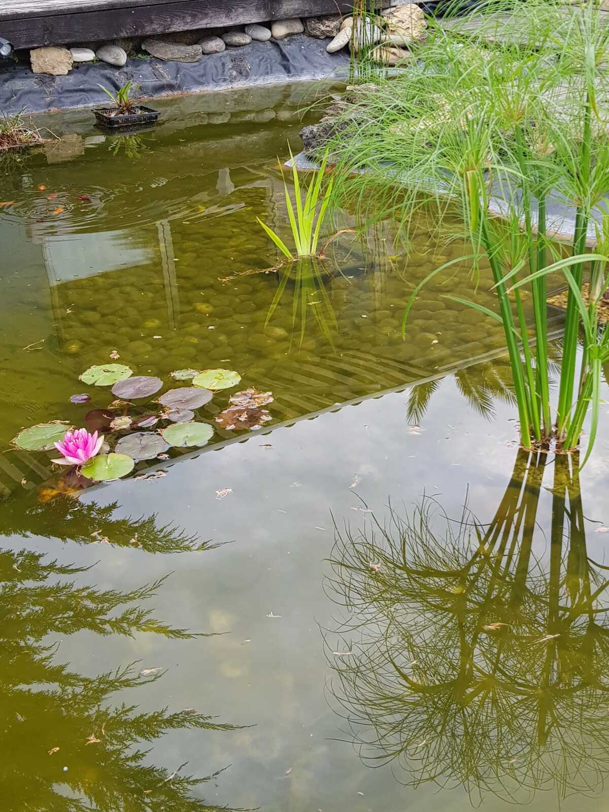 Maison 100 m² avec jacuzzi et jardin à Angoumé - Photo 32
