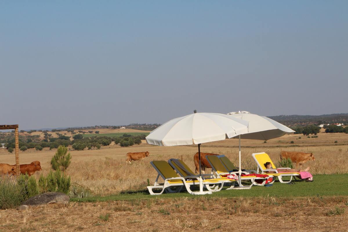 Villa avec piscine privée et vue montagne près d'Évora - Photo 13