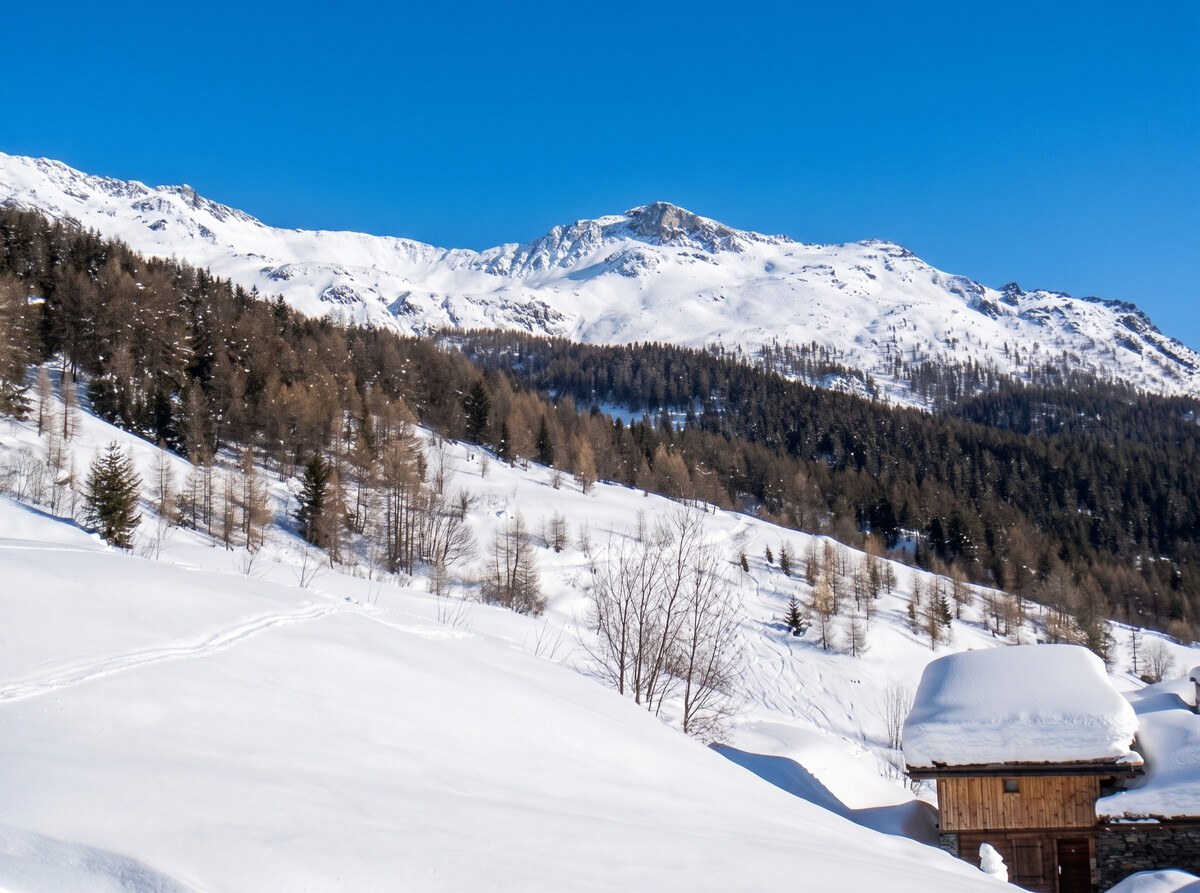 Chalet 208 m² pour 14 personnes à Sainte-Foy-Tarentaise - Photo 27