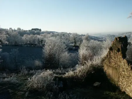 Maison charmante à Meyrignac-l'Église avec cheminée - Photo 10