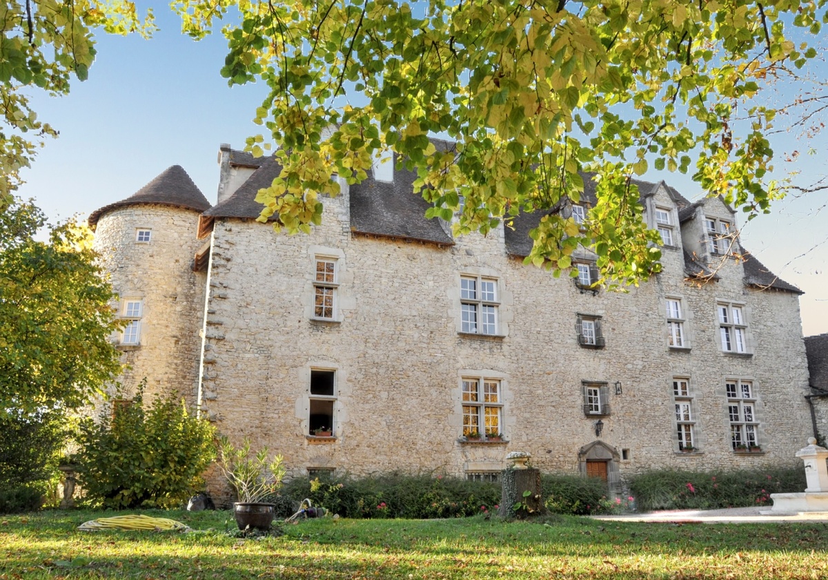 Manoir 15 pers. avec jacuzzi et sauna à Saint-Genès-du-Retz - Photo 1