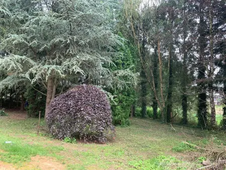 Maison chaleureuse et accueillante à Ohey, parfaite pour 2 personnes - Photo 25