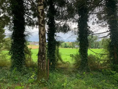 Maison chaleureuse et accueillante à Ohey, parfaite pour 2 personnes - Photo 27