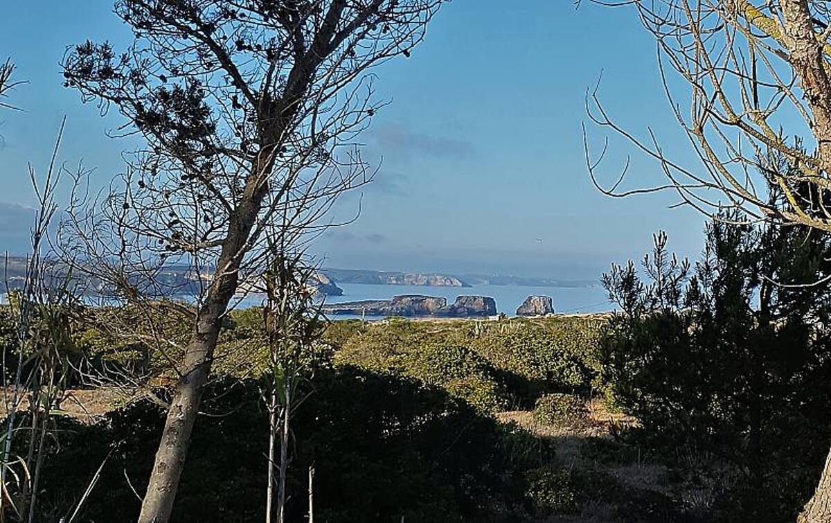Appartement 42 m² à Sagres, terrasse et barbecue - Photo 9