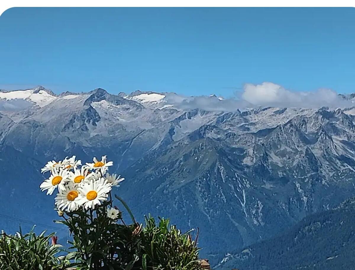 Appartement 80 m² à Carisolo, vue sur la ville - Photo 12