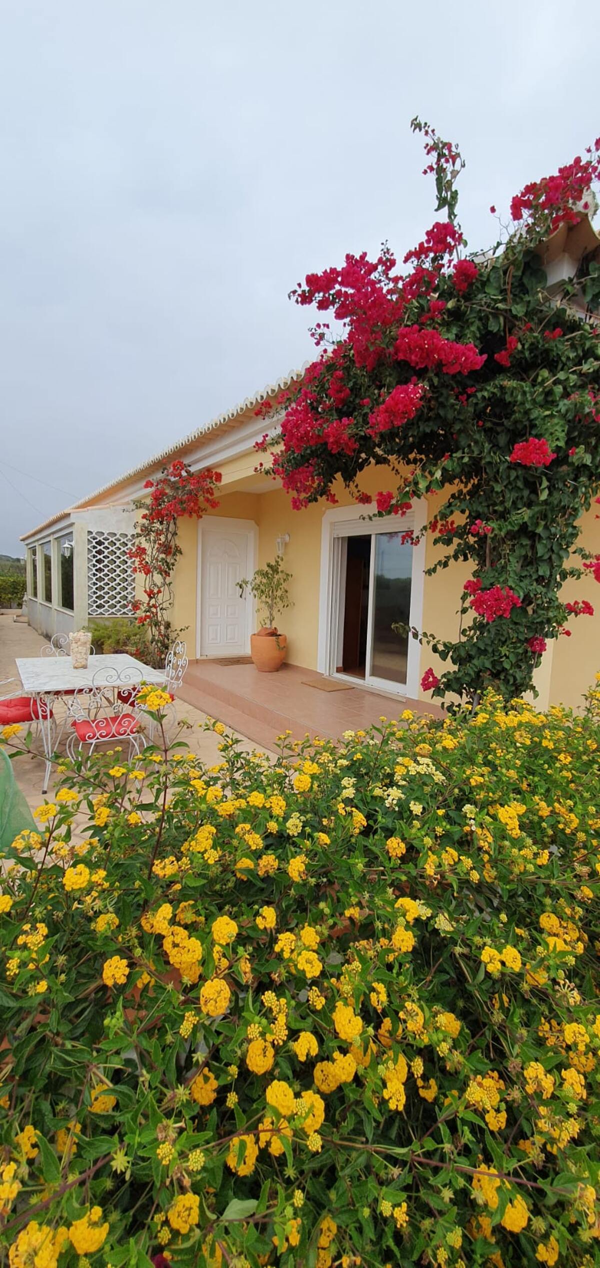 Studio en bord de mer à Sagres, 38 m² terrasse jardin - Photo 2
