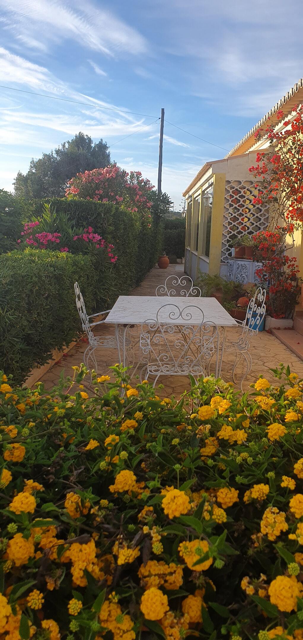 Studio en bord de mer à Sagres, 38 m² terrasse jardin - Photo 11