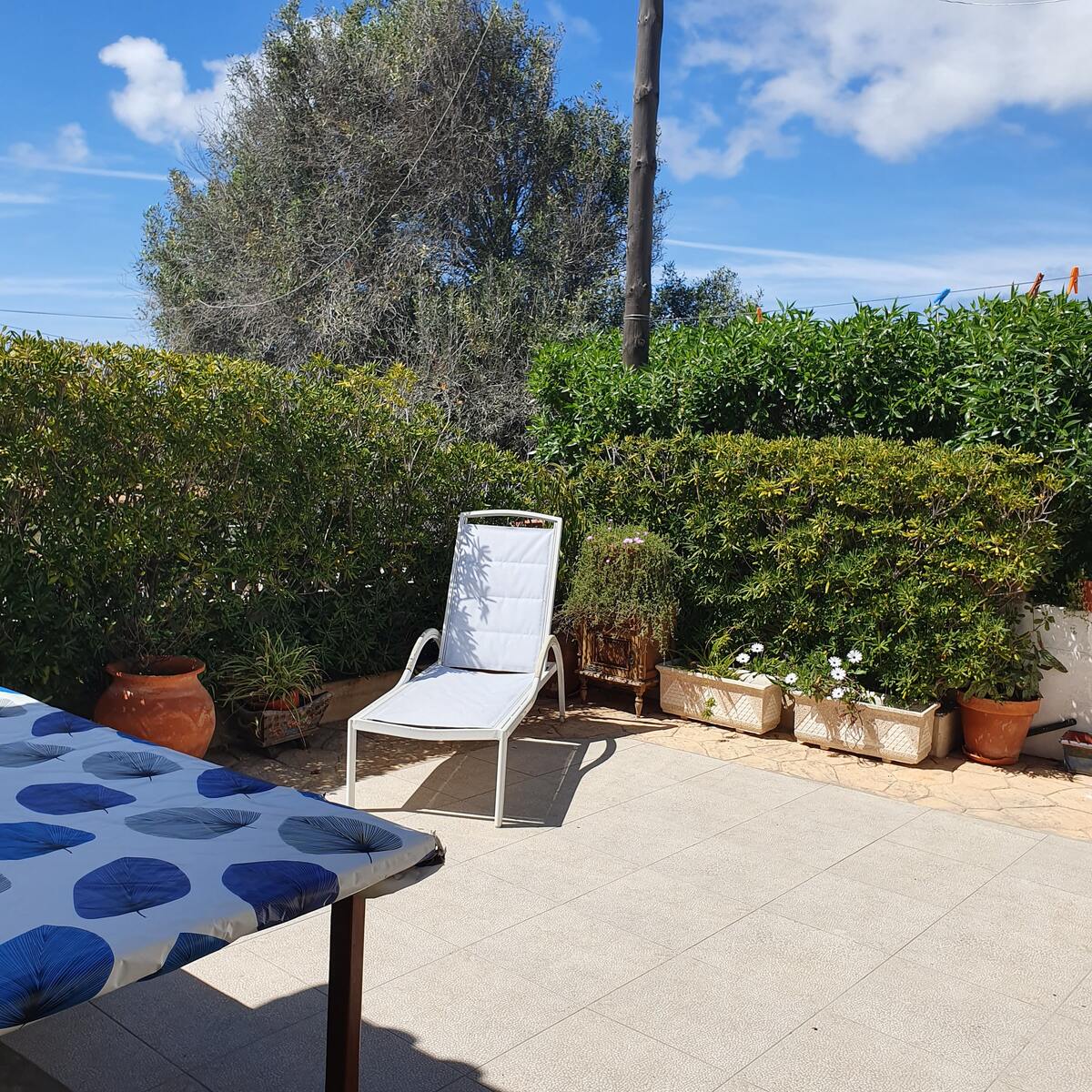 Studio en bord de mer à Sagres, 38 m² terrasse jardin - Photo 12