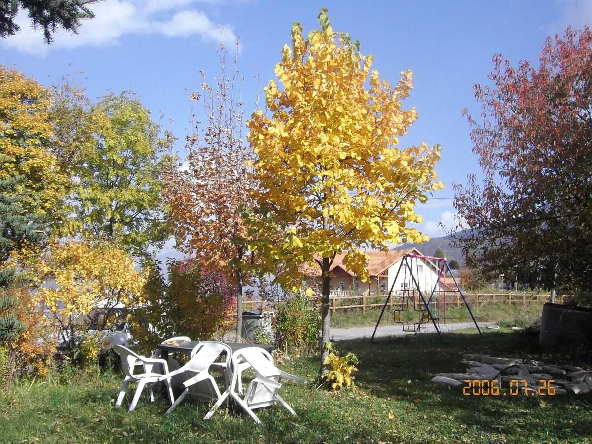 Maison 6 pers. à Saint-Léger-les-Mélèzes, accès pistes - Photo 13