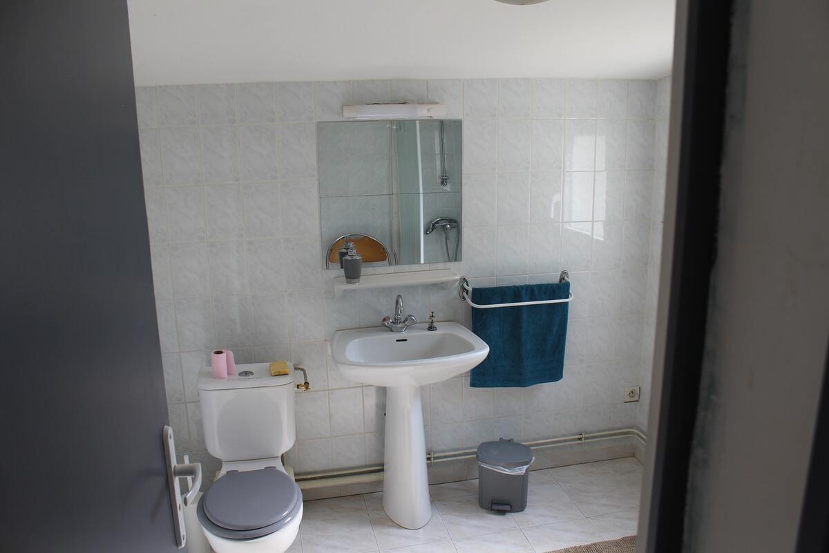 Appartement 45m² avec jardin et barbecue à Saint-Patrice - Photo 10